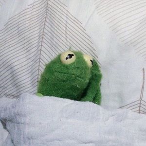 Meet your Posher, Camila